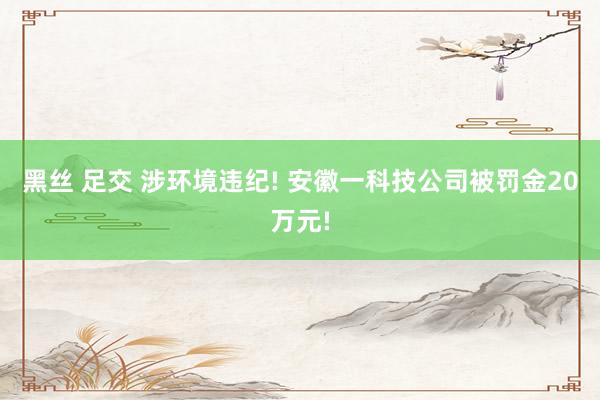 黑丝 足交 涉环境违纪! 安徽一科技公司被罚金20万元!