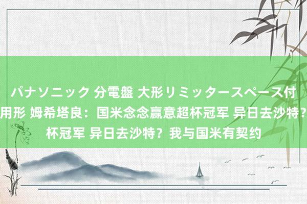 パナソニック 分電盤 大形リミッタースペース付 露出・半埋込両用形 姆希塔良：国米念念赢意超杯冠军 异日去沙特？我与国米有契约