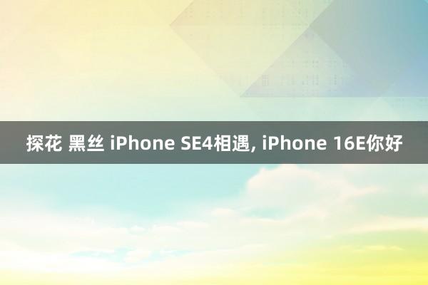 探花 黑丝 iPhone SE4相遇， iPhone 16E你好