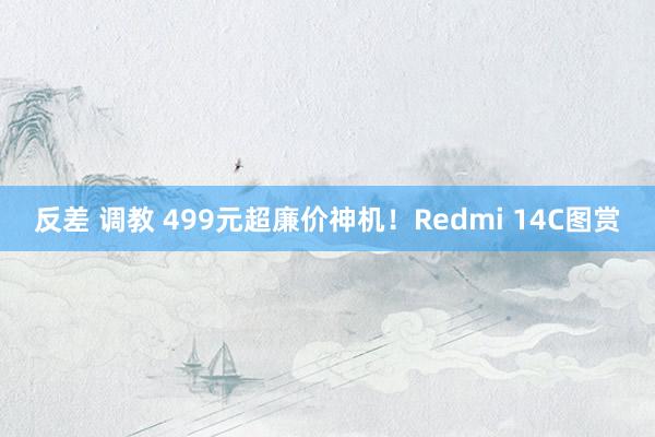 反差 调教 499元超廉价神机！Redmi 14C图赏