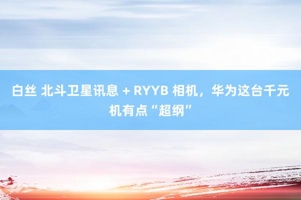 白丝 北斗卫星讯息 + RYYB 相机，华为这台千元机有点“超纲”