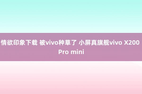 情欲印象下载 被vivo种草了 小屏真旗舰vivo X200 Pro mini