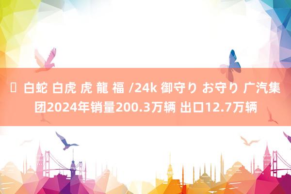 ✨白蛇 白虎 虎 龍 福 /24k 御守り お守り 广汽集团2024年销量200.3万辆 出口12.7万辆