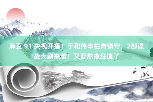 麻豆 91 央视开播！于和伟辛柏青镇守，2部谍战大剧来袭！又要熬夜狂追了