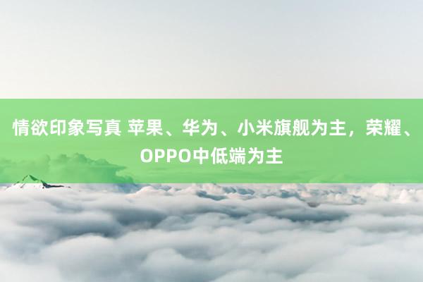 情欲印象写真 苹果、华为、小米旗舰为主，荣耀、OPPO中低端为主