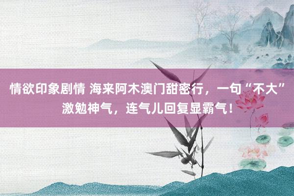 情欲印象剧情 海来阿木澳门甜密行，一句“不大”激勉神气，连气儿回复显霸气！