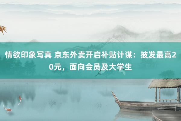 情欲印象写真 京东外卖开启补贴计谋：披发最高20元，面向会员及大学生